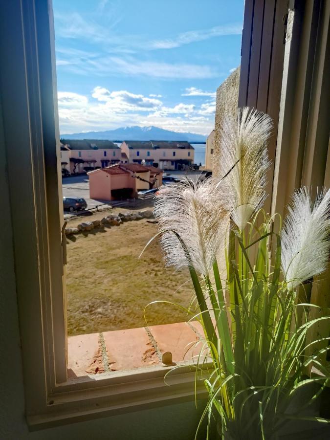 Appartement Tout Confort A Cap Coudalere Avec Vue Magnifique Sur Le Canigou Au Bord Du Lac - Check In Automatise - Parking Gratuit - Aire De Jeux D'Enfants - Le Barcarès Eksteriør bilde